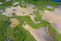 Aerial view of mangrove forest in Gambia. Photo made by drone from above. Africa Natural Landscape Royalty Free Stock Photo