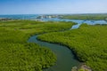 Aerial view of mangrove forest in Gambia. Photo made by drone from above. Africa Natural Landscape Royalty Free Stock Photo