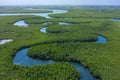 Aerial view of mangrove forest in Gambia. Photo made by drone from above. Africa Natural Landscape Royalty Free Stock Photo