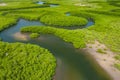 Aerial view of mangrove forest in Gambia. Photo made by drone from above. Africa Natural Landscape Royalty Free Stock Photo