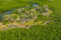 Aerial view of mangrove forest in Gambia. Photo made by drone from above. Africa Natural Landscape Royalty Free Stock Photo