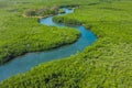 Aerial view of mangrove forest in Gambia. Photo made by drone from above. Africa Natural Landscape Royalty Free Stock Photo