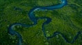 Aerial view mangrove forest natural landscape environment, River in tropical mangrove green tree forest, Mangrove landscape Royalty Free Stock Photo