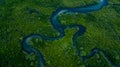 Aerial view mangrove forest natural landscape environment, River in tropical mangrove green tree forest, Mangrove landscape Royalty Free Stock Photo