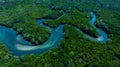 Aerial view mangrove forest natural landscape environment, River in tropical mangrove green tree forest, Mangrove landscape Royalty Free Stock Photo