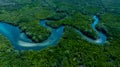 Aerial view mangrove forest natural landscape environment, River in tropical mangrove green tree forest, Mangrove landscape Royalty Free Stock Photo