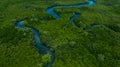 Aerial view mangrove forest natural landscape environment, River in tropical mangrove green tree forest, Mangrove landscape Royalty Free Stock Photo