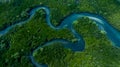 Aerial view mangrove forest natural landscape environment, River in tropical mangrove green tree forest, Mangrove landscape Royalty Free Stock Photo