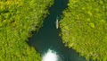 Aerial view of Mangrove forest and river. Royalty Free Stock Photo