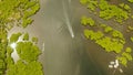 Aerial view of Mangrove forest and river. Royalty Free Stock Photo
