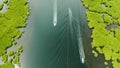 Aerial view of Mangrove forest and river. Royalty Free Stock Photo