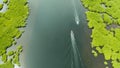 Aerial view of Mangrove forest and river. Royalty Free Stock Photo