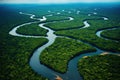 Aerial view of mangrove forest with river. Nature background, AI Generated Royalty Free Stock Photo