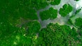 Aerial view of mangrove forest and river on the Siargao island. Philippines Royalty Free Stock Photo