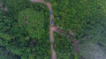 Aerial view of mangrove forest and river Royalty Free Stock Photo