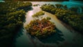 Aerial view of mangrove forest and river in Thailand. Royalty Free Stock Photo