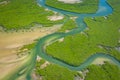 Aerial view of mangrove forest in the Saloum Delta National Park, Joal Fadiout, Senegal. Photo made by drone from above. Africa