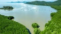 Aerial view mangrove jungles in Thailand, River in tropical mangrove green tree forest view from above, trees, river. Mangrove Royalty Free Stock Photo