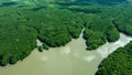 Aerial view mangrove jungles in Thailand, River in tropical mangrove green tree forest view from above, trees, river. Mangrove Royalty Free Stock Photo