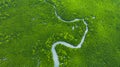 Aerial view mangrove jungles in Thailand, River in tropical mangrove green tree forest top view, trees, river. Mangrove landscape Royalty Free Stock Photo