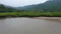 Aerial view of Mangrove and seashore