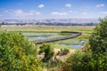 Aerial view of the marshes in Don Edwards wildlife refuge