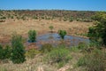 AERIAL VIEW OF MARSHY AREA Royalty Free Stock Photo