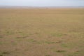 Aerial view of the Masaai Mara Reserve in Kenya, with antelope and impalas down on the ground, very small in scale