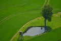 Aerial view meadow green spring fresh tree landscape