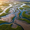 Aerial View of a Meandering River Delta Royalty Free Stock Photo