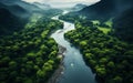 Aerial View of a Meandering River Flowing Through a Dense Green Rainforest with Misty Atmosphere and Lush Foliage Royalty Free Stock Photo