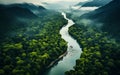 Aerial View of a Meandering River Flowing Through a Dense Green Rainforest with Misty Atmosphere and Lush Foliage Royalty Free Stock Photo