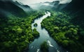 Aerial View of a Meandering River Flowing Through a Dense Green Rainforest with Misty Atmosphere and Lush Foliage Royalty Free Stock Photo