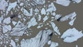 Aerial view of melting glacier and floating icebergs as result of Atlantic ocean meridional overturning circulation collapse