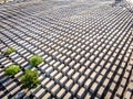 Aerial view of Memorial to the Murdered Jews of Europe Royalty Free Stock Photo