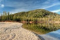 Pine trees reflecting in a lake. Royalty Free Stock Photo