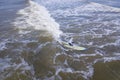 Aerial view of middle aged man surfing on the Atlantic Ocean Royalty Free Stock Photo