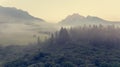 Aerial view of mists rising above forest.