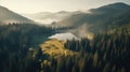 Aerial view of misty forest lake at sunrise. Drone photography Royalty Free Stock Photo