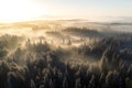 Aerial view of misty forest at sunrise, Beautiful winter landscape