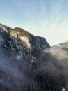 Aerial view of misty pine forest on winter Low Tatras mountain slope in Slovakia Royalty Free Stock Photo