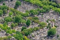 Aerial view of Montparnasse cemetery in Paris