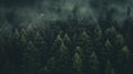 Aerial View Of Moody Forest In Fog: Cabincore Schlieren Photography