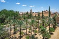 Aerial view Mosque-Cathedral of Cordoba with Palm Trees - Cordoba, Andalusia, Spain