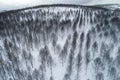 Aerial view of a mountain burned by a forest fire, snow covered in winter