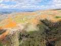Aerial view of Mountain with California Golden Poppy and Goldfields blooming in Walker Canyon, Lake Elsinore, CA. USA.