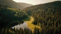 Aerial view of a mountain lake surrounded by coniferous forest Royalty Free Stock Photo