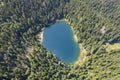 Aerial view of mountain lake surrounded by dense coniferous and beech forest. Montenegro, Europe Royalty Free Stock Photo