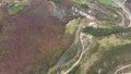 Aerial view of a mountain river. Crisul Repede, Suncuius, Romania