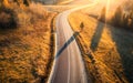 Aerial view of mountain road in orange forest at sunset in autumn Royalty Free Stock Photo